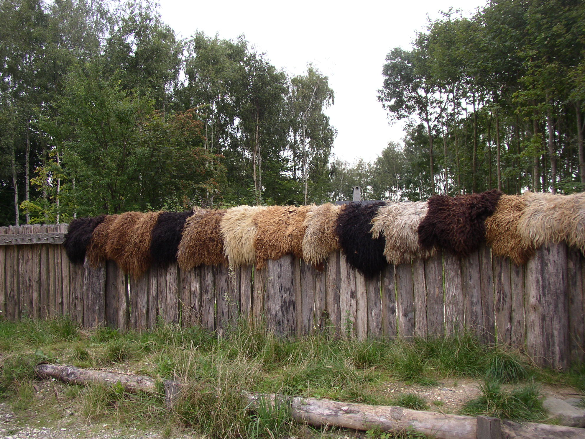  - Albertslund Kommune